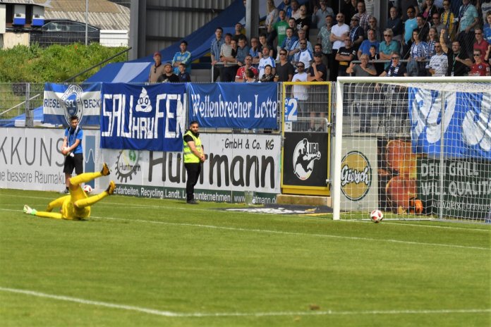 38. Spieltag 18/19: Sportfreunde Lotte - Würzburger Kickers (Teil 2) - Bild 6